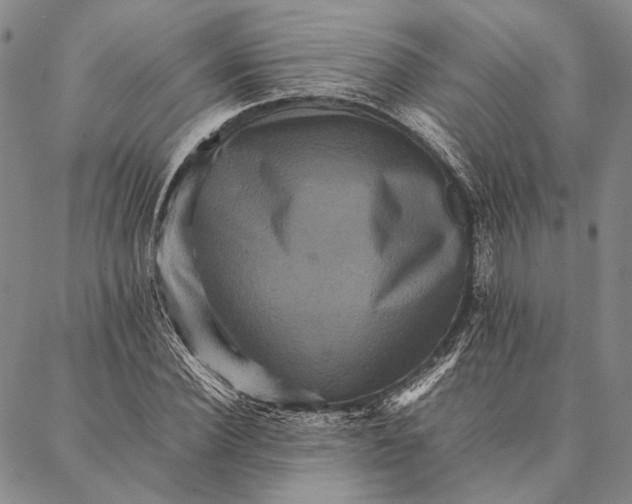 X0000087060924200705091157