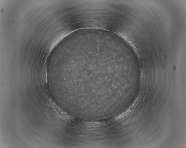 X0000087060925200705091157