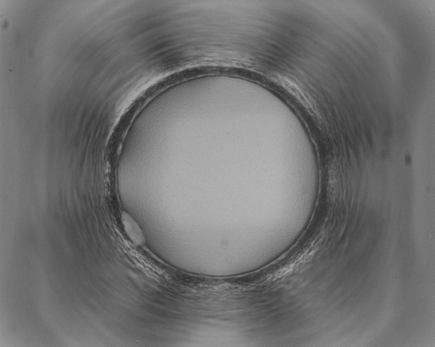 X0000087060926200705091157