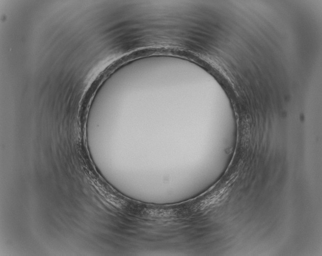 X0000087060927200705091157