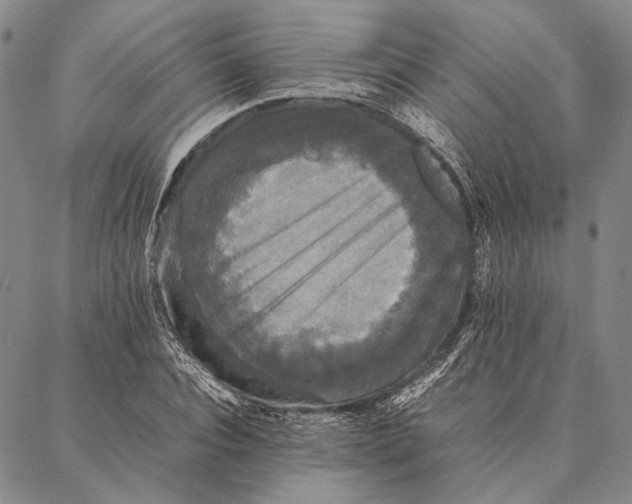 X0000087060928200705091157