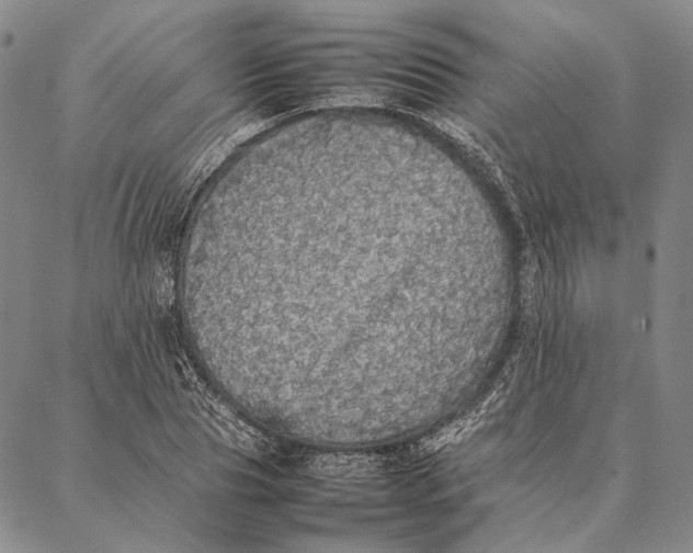 X0000087060929200705091157