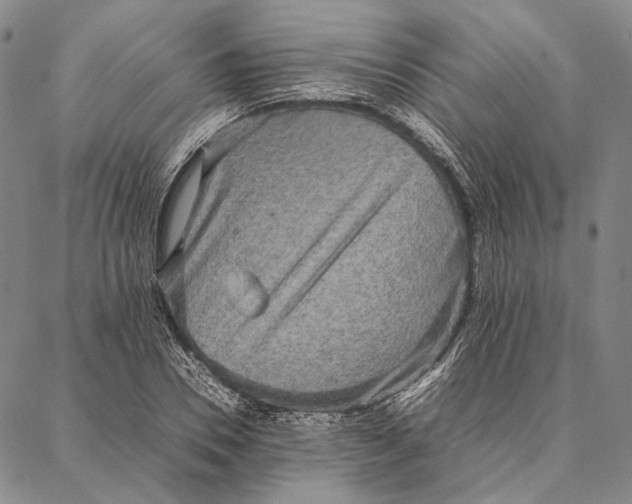 X0000087060930200705091157