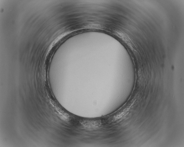 X0000087060931200705091157