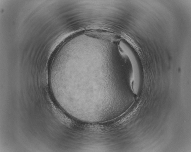 X0000087060934200705091157