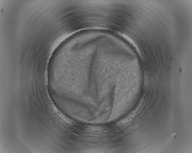 X0000087060935200705091157