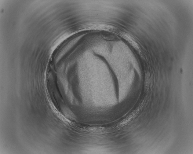 X0000087060936200705091157