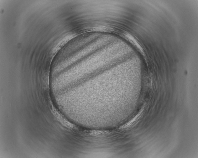 X0000087060938200705091157