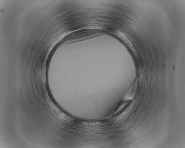 X0000087060939200705091157