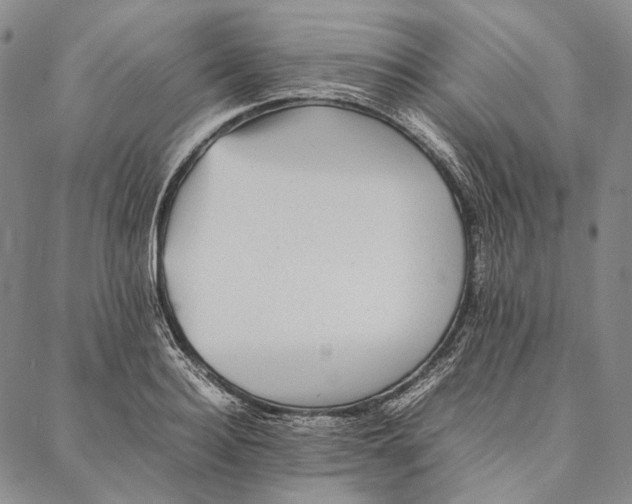 X0000087060940200705091157