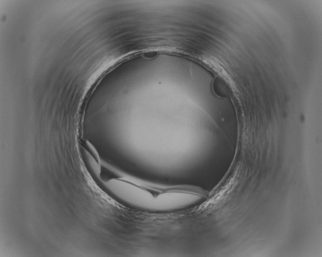 X0000087060941200705091157