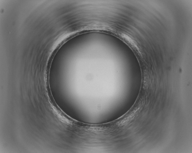 X0000087060942200705091157