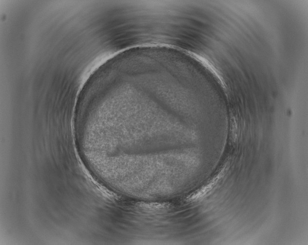 X0000087060943200705091157