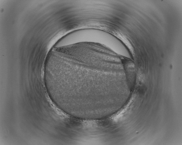 X0000087060944200705091157