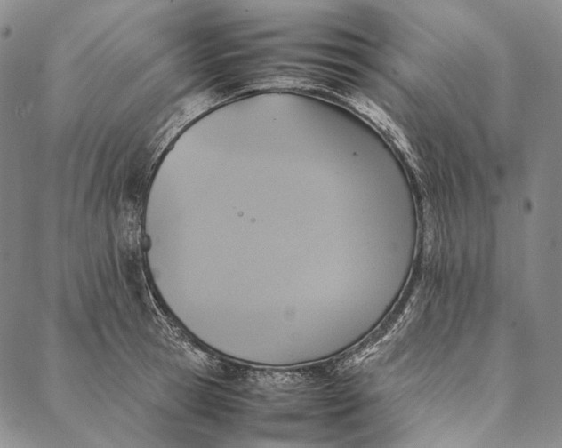 X0000087060945200705091157