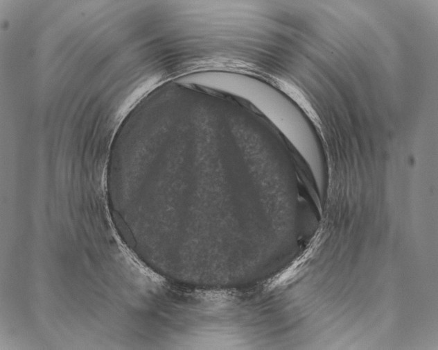 X0000087060946200705091157