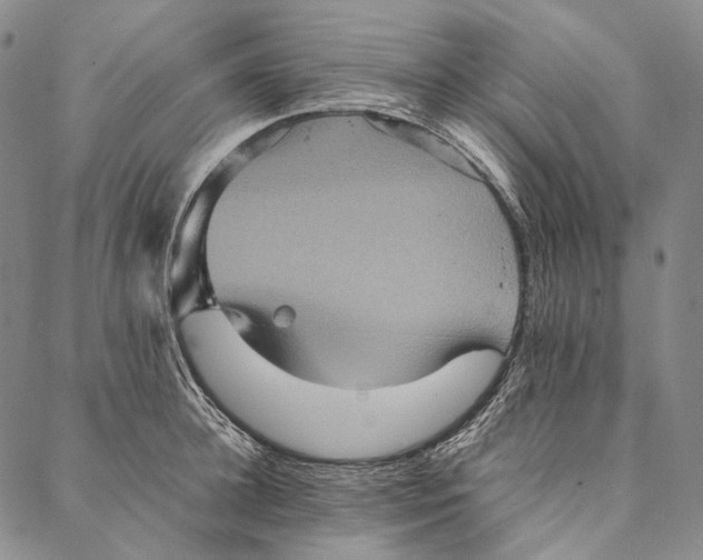 X0000087060948200705091157