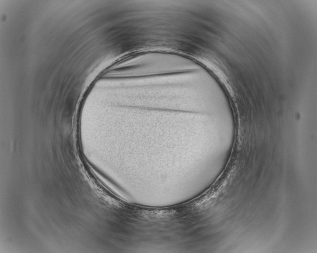 X0000087060949200705091157