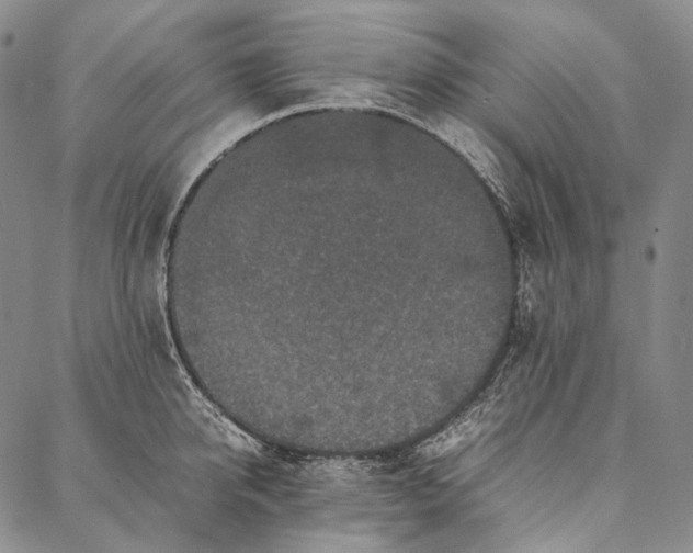 X0000087060950200705091157