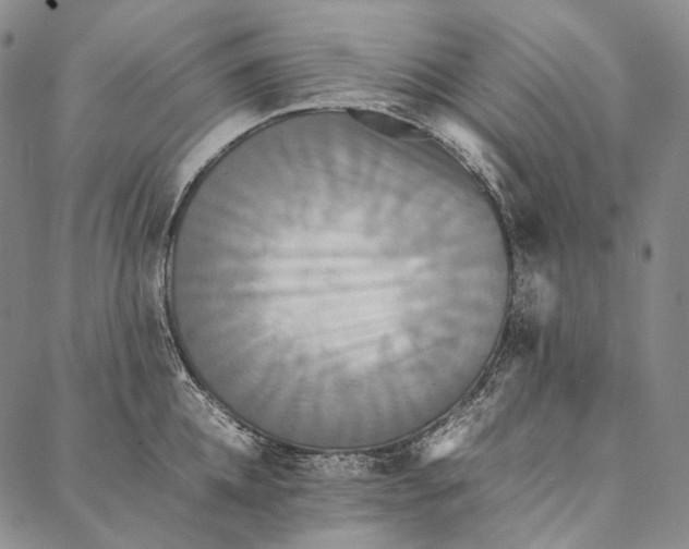 X0000087060952200705091157