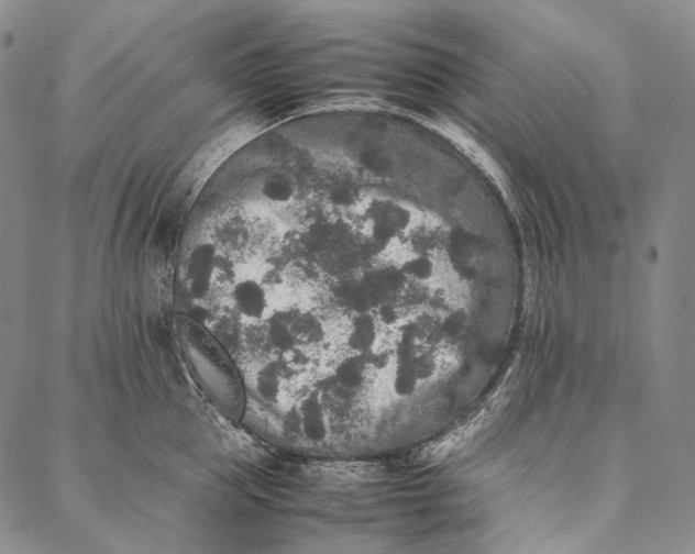 X0000087060953200705091157