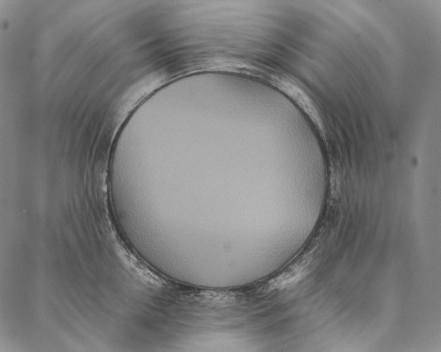 X0000087060954200705091157