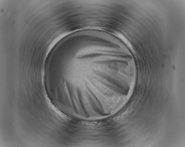 X0000087060955200705091157