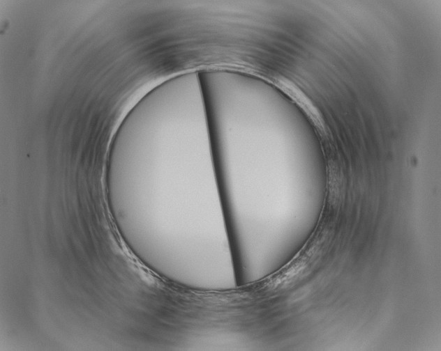 X0000087060956200705091157