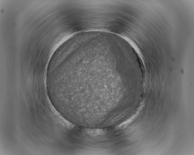 X0000087060957200705091157