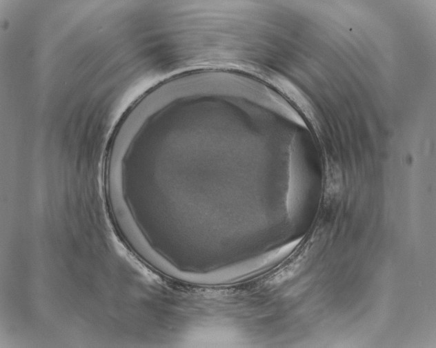 X0000087060958200705091157