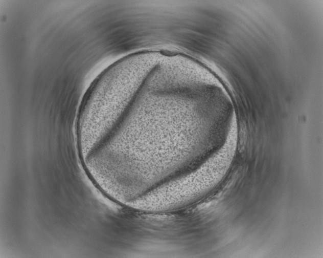 X0000087060959200705091157