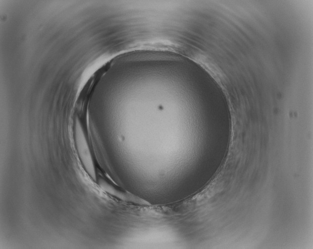 X0000087060960200705091157