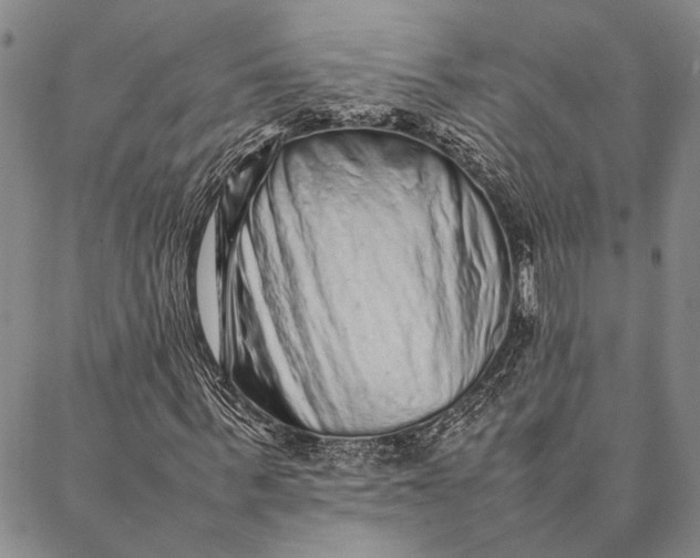 X0000087060963200705091156