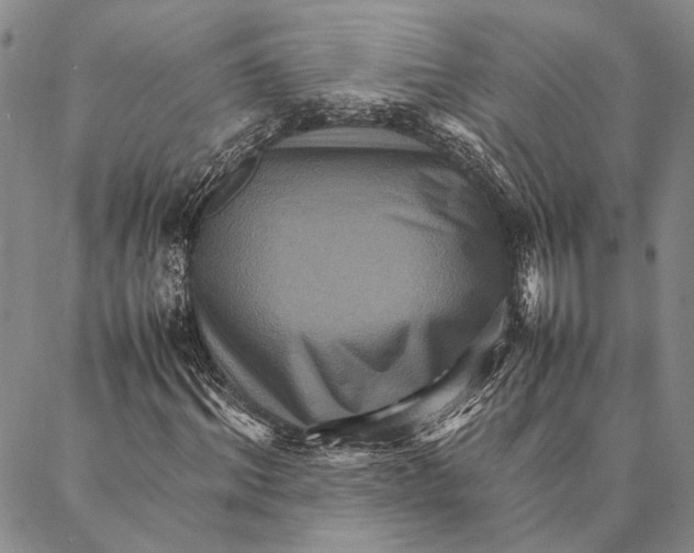 X0000087060964200705091156