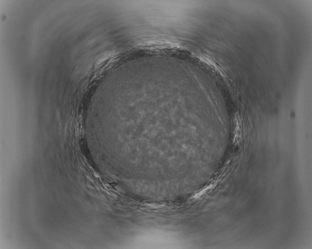 X0000087060965200705091156