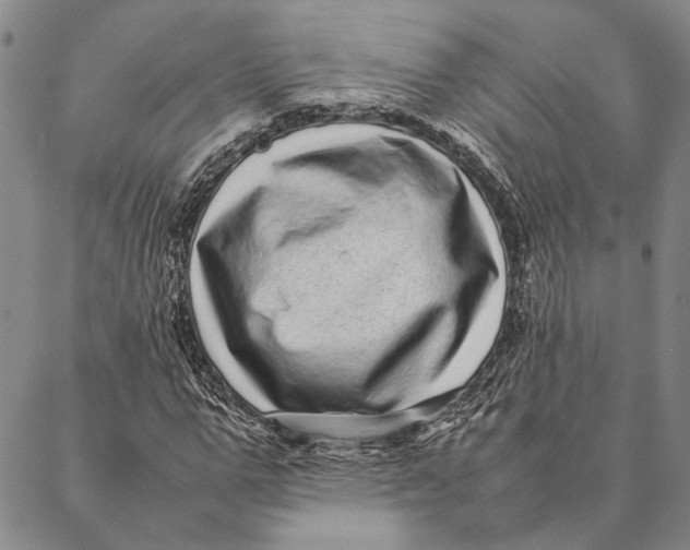 X0000087060967200705091156