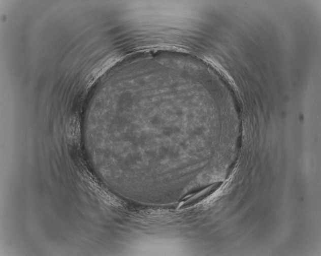 X0000087060969200705091156