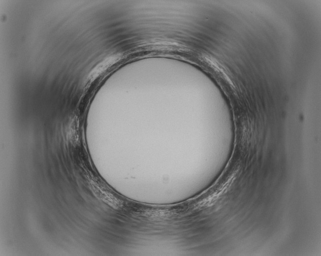 X0000087060970200705091156