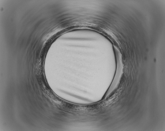 X0000087060971200705091156