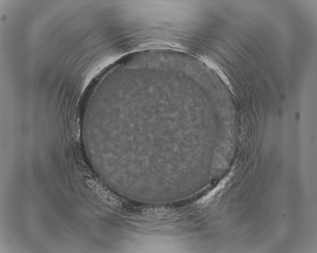 X0000087060973200705091156