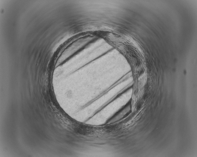 X0000087060975200705091156