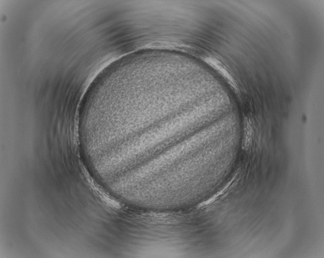 X0000087060976200705091156