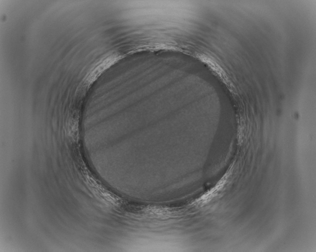 X0000087060977200705091156