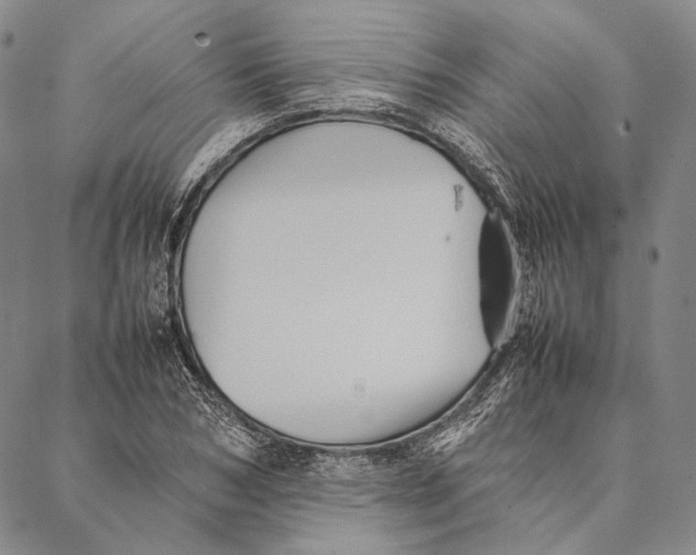 X0000087060978200705091156