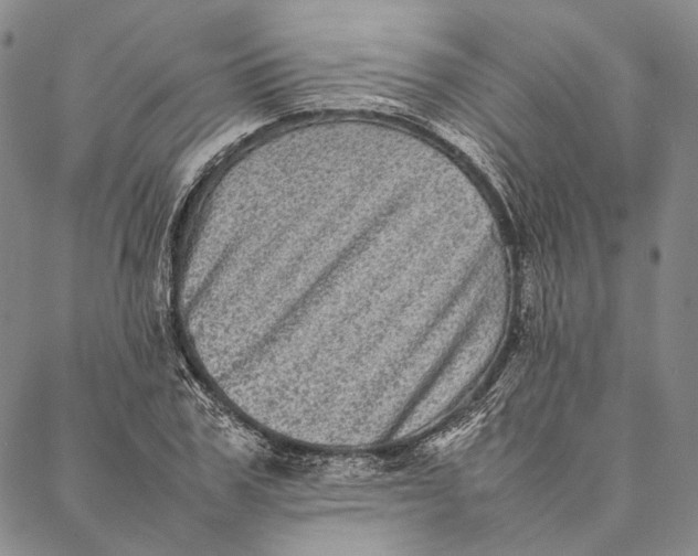 X0000087060979200705091156