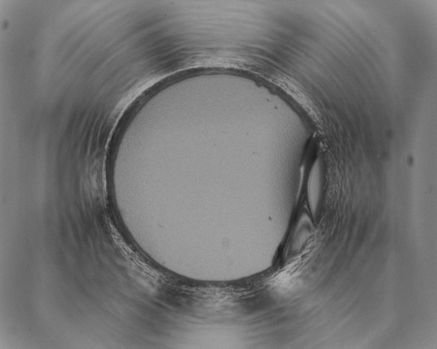 X0000087060980200705091156