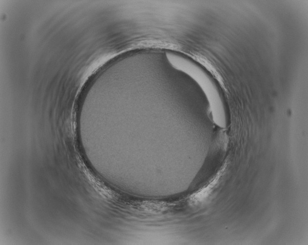 X0000087060981200705091156