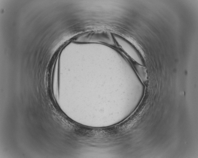 X0000087060983200705091156