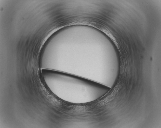 X0000087060984200705091156