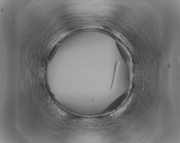 X0000087060985200705091156